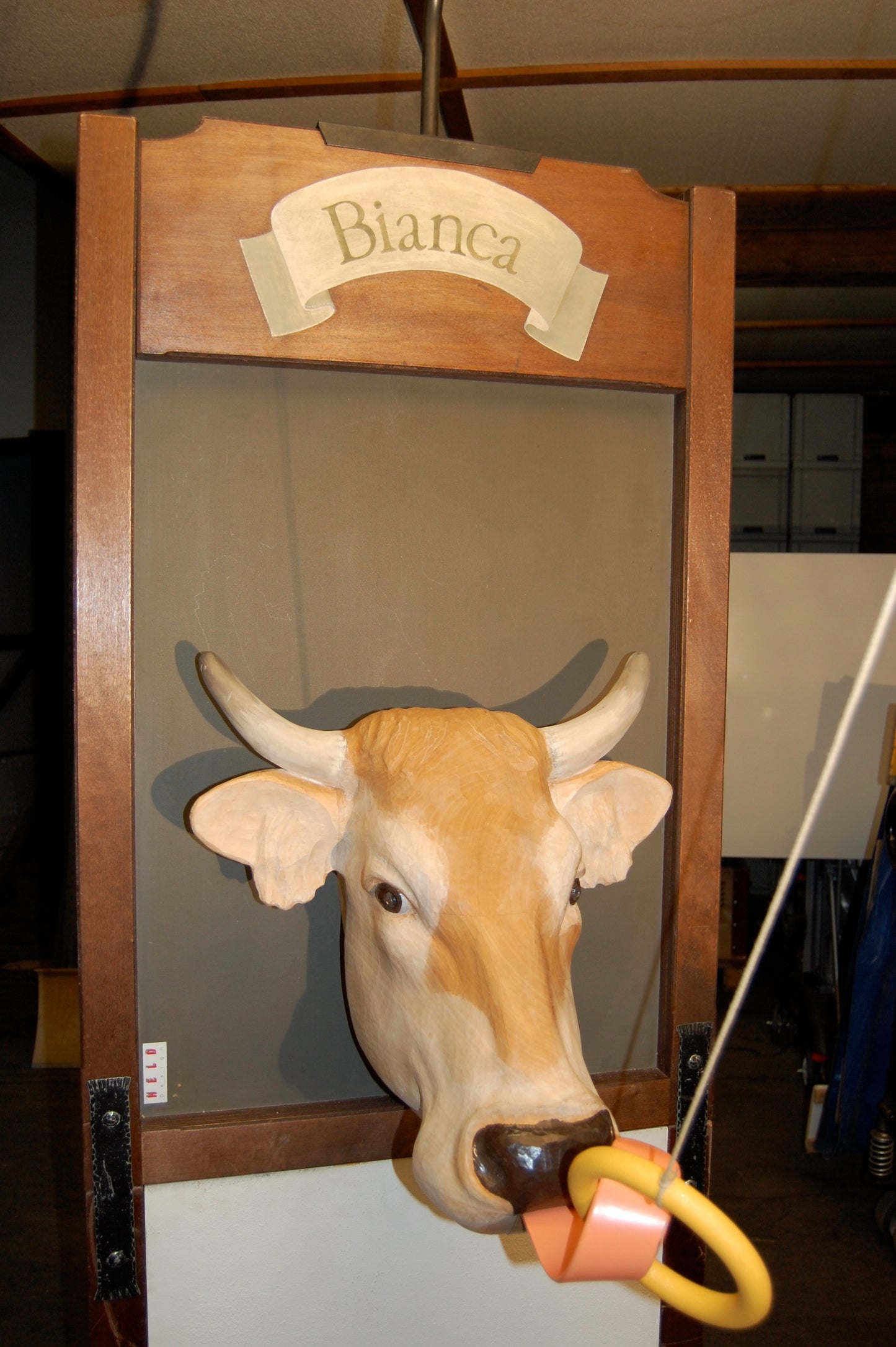 Schwing den Ring "Bianca"