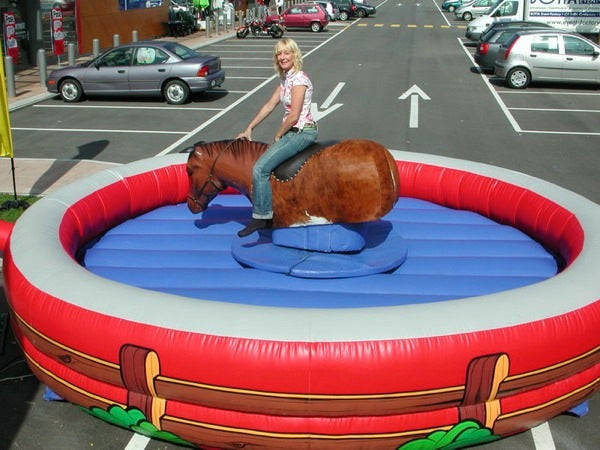 Pferd - Horse Riding