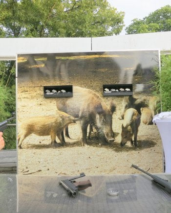 Schiessstand Sujet Wildsau