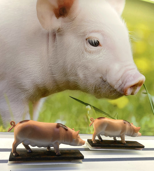 Säulirennen duell / Kugelspiel