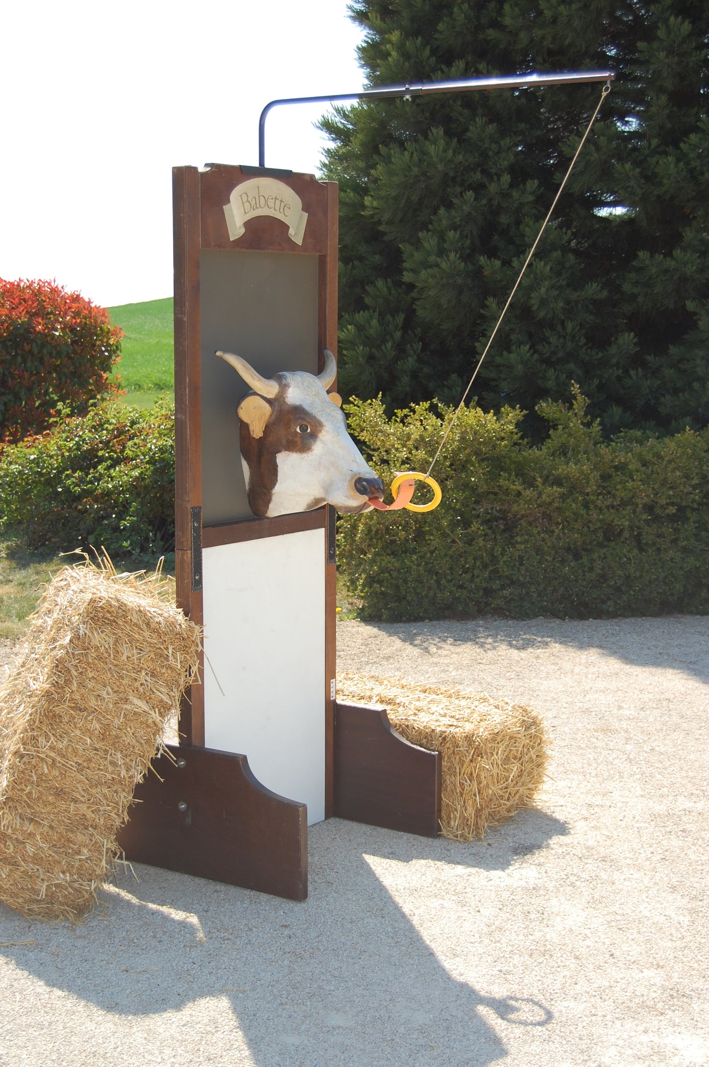 Schwing den Ring "Babette"