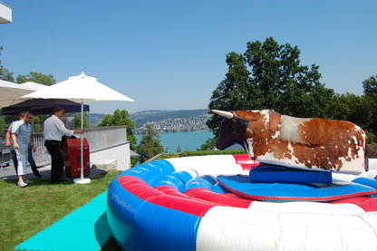 Bullriding "Boris"