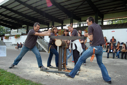 Baumstammsägen
