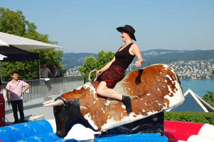 Bullriding "Boris"