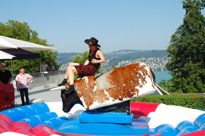 Bullriding "Boris"