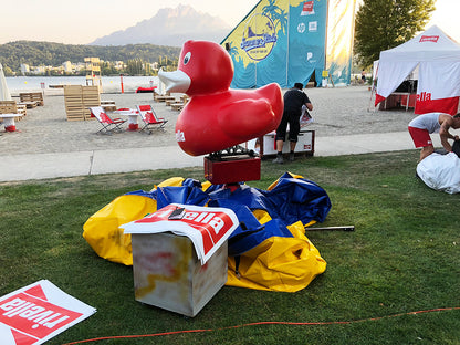 Enten Rodeo - Simulator