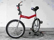 Gelenkvelo Bike