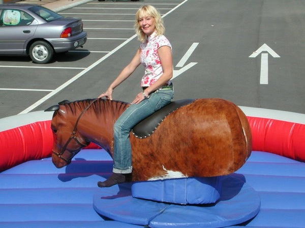 Pferd - Horse Riding