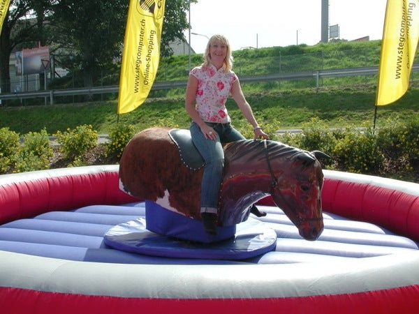 Pferd - Horse Riding