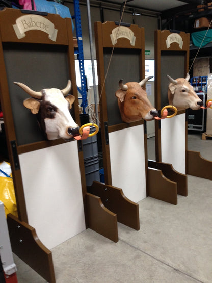 Schwing den Ring im Kuhstall...