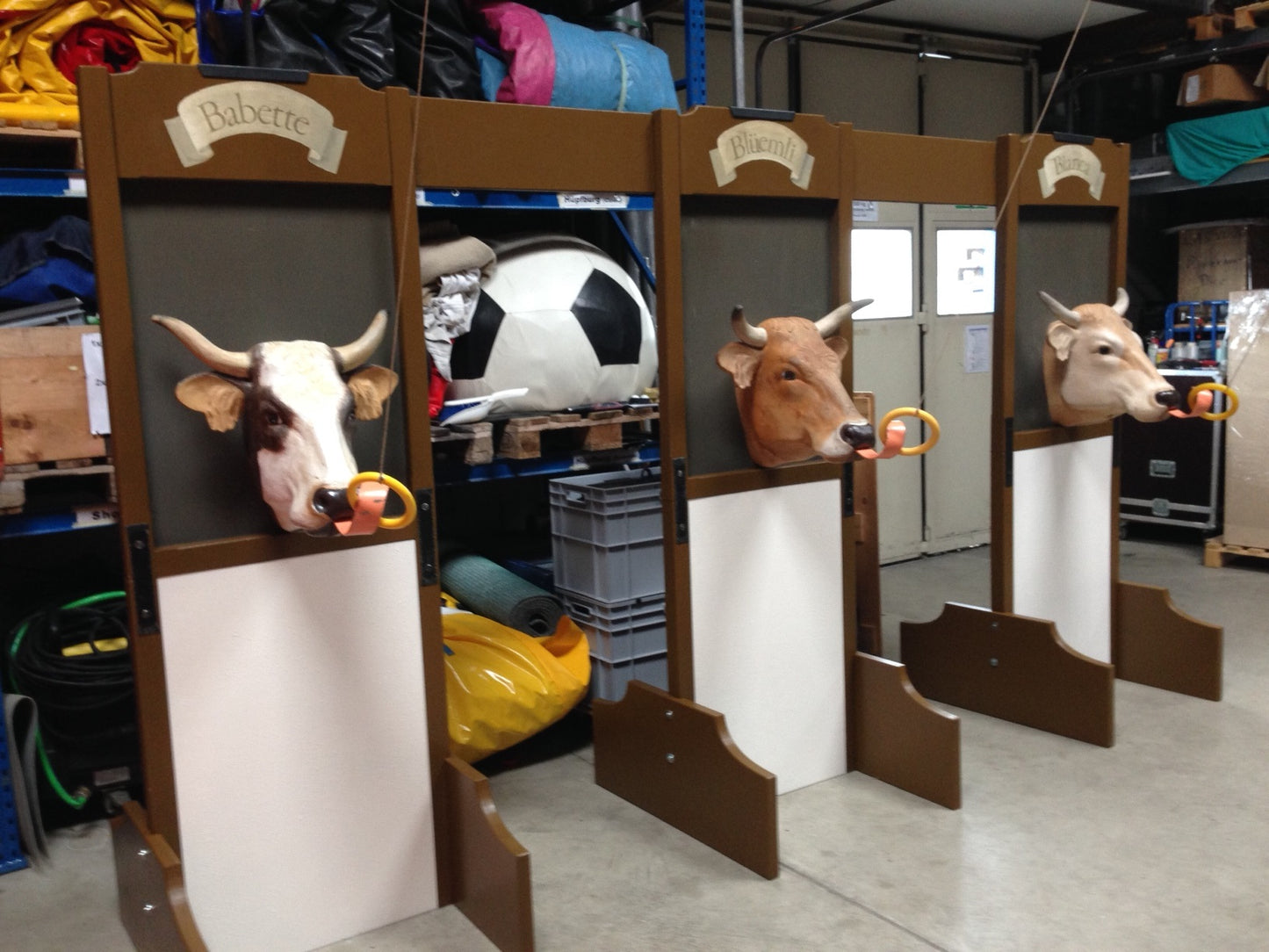 Schwing den Ring im Kuhstall...