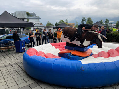 Bullriding "Brutus"